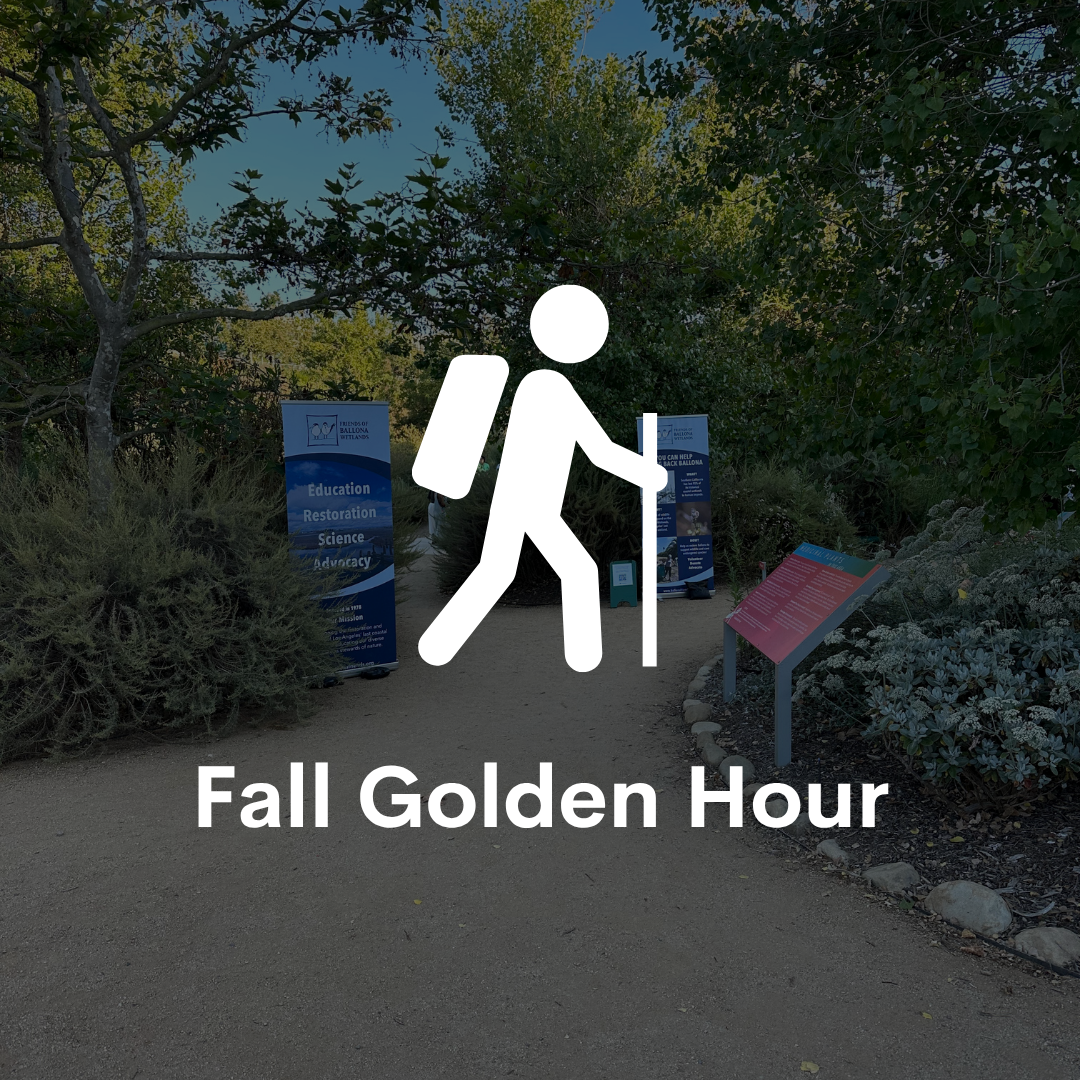Fall Golden Hour