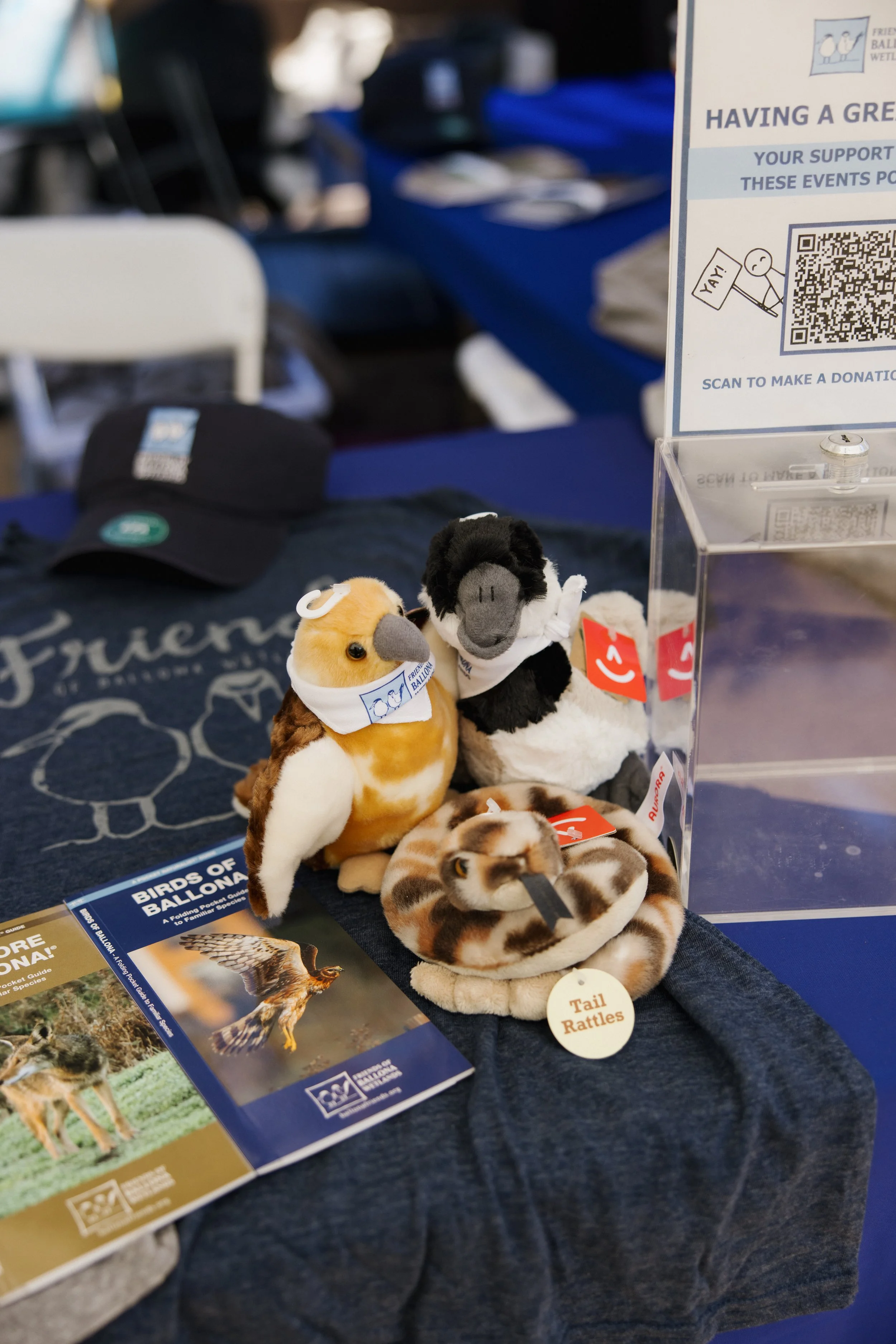 t4t_ballona_053026-19.jpg