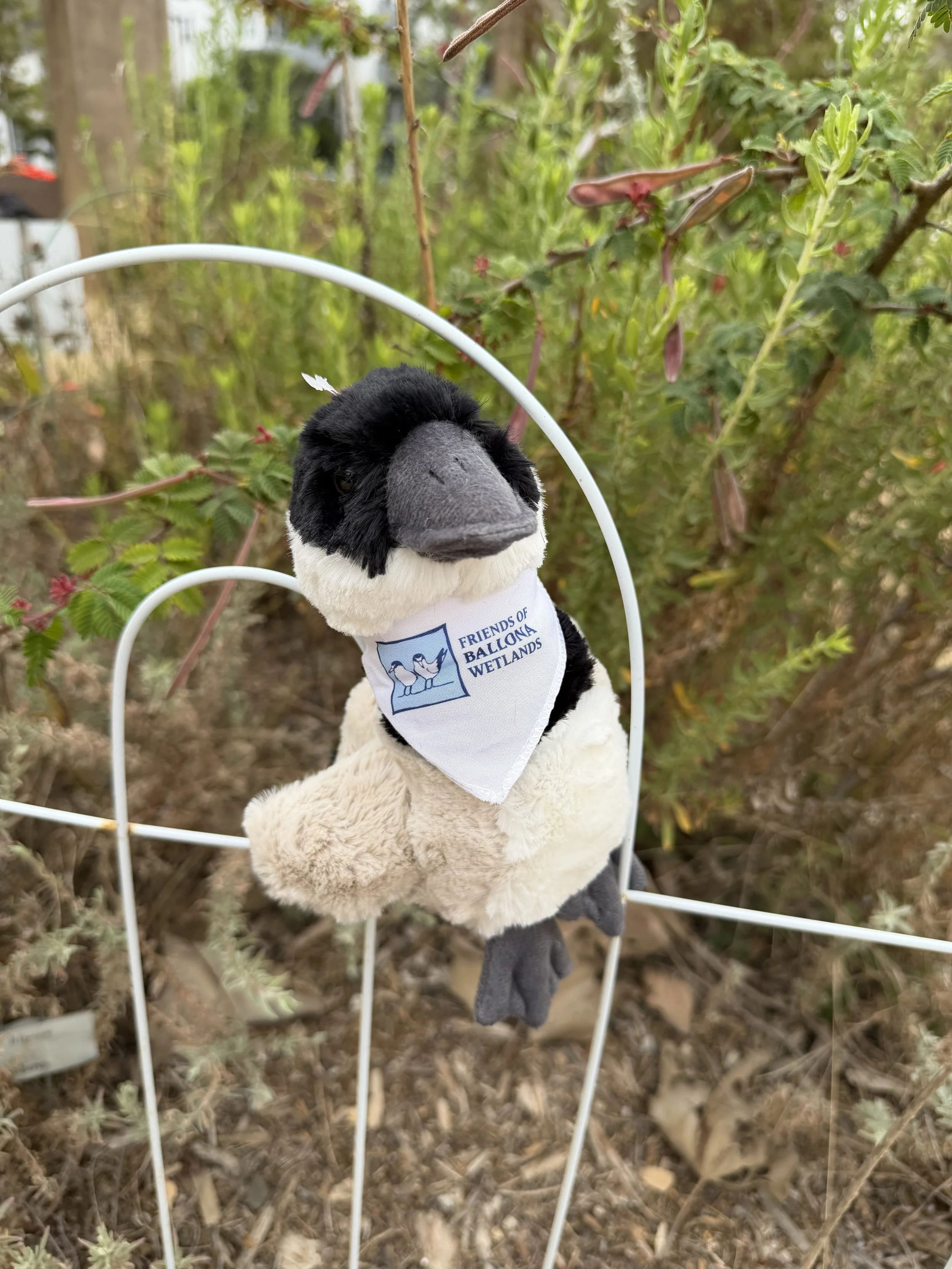 Canada Goose Plushie 3.jpg