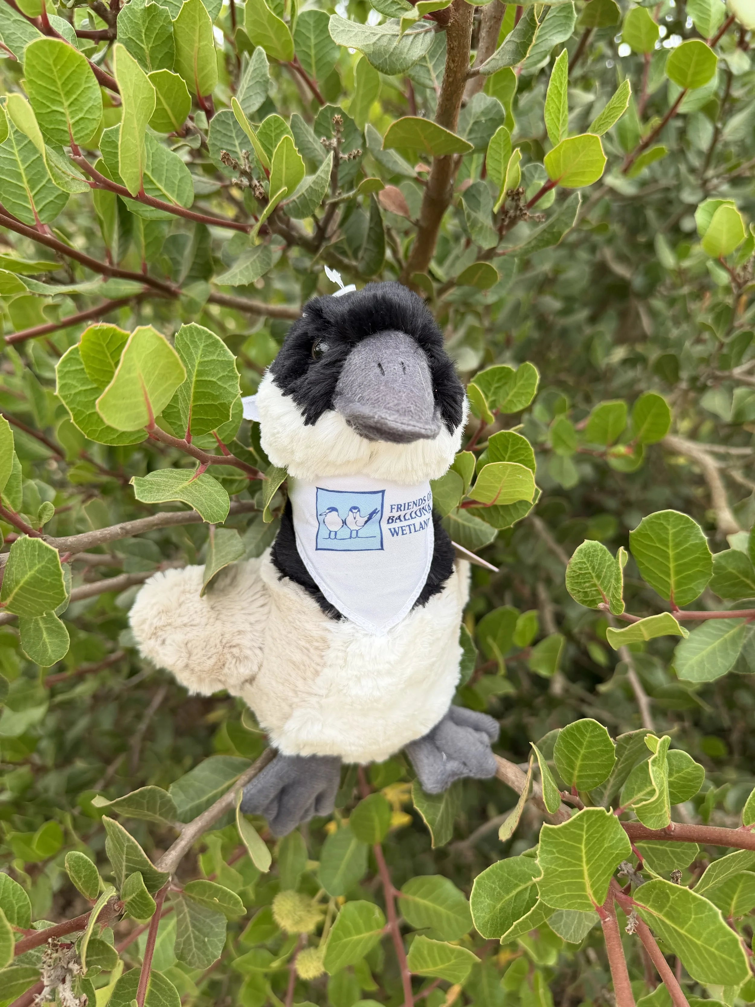 Canada Goose Plushie 2.jpg