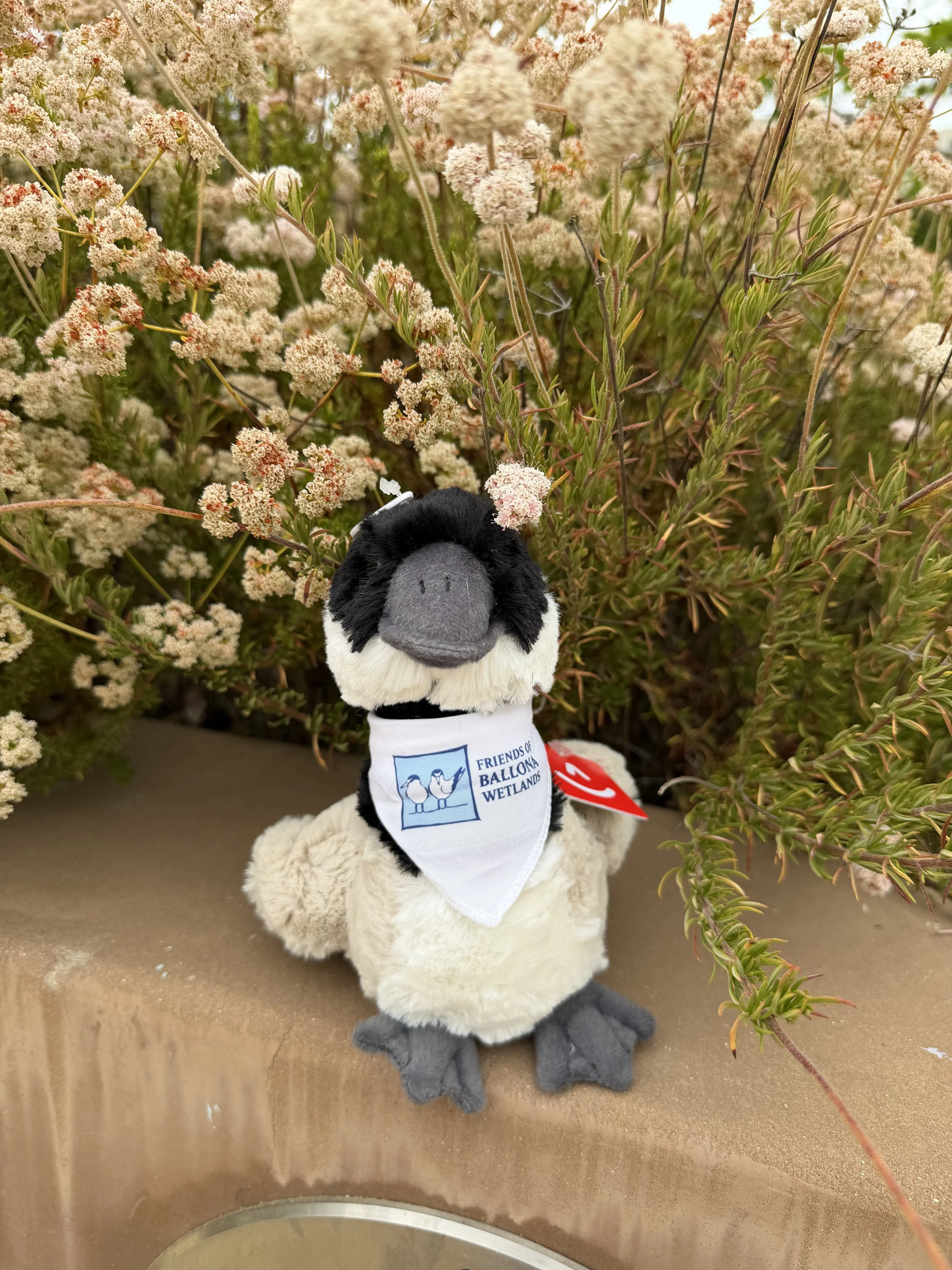 Canada Goose Plushie 1.jpg