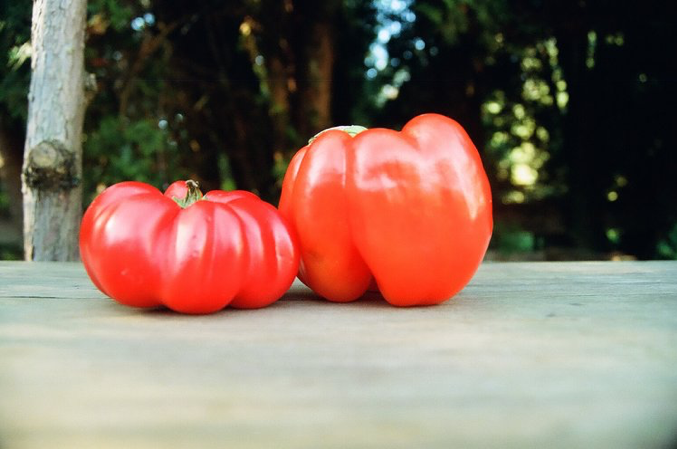 peppers.png