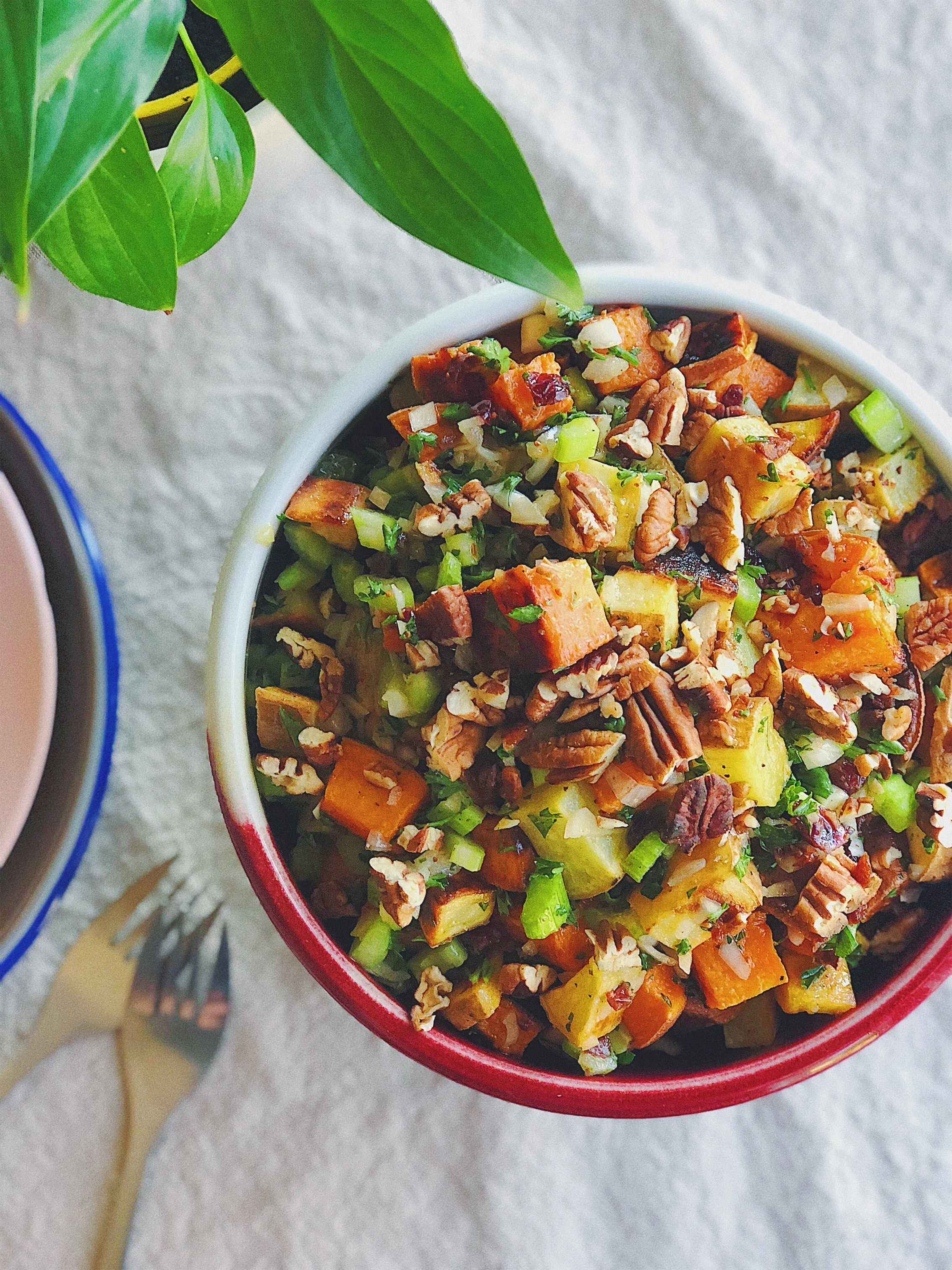 Sweet Potato Salad with Celery,  Pecans and Cranberries