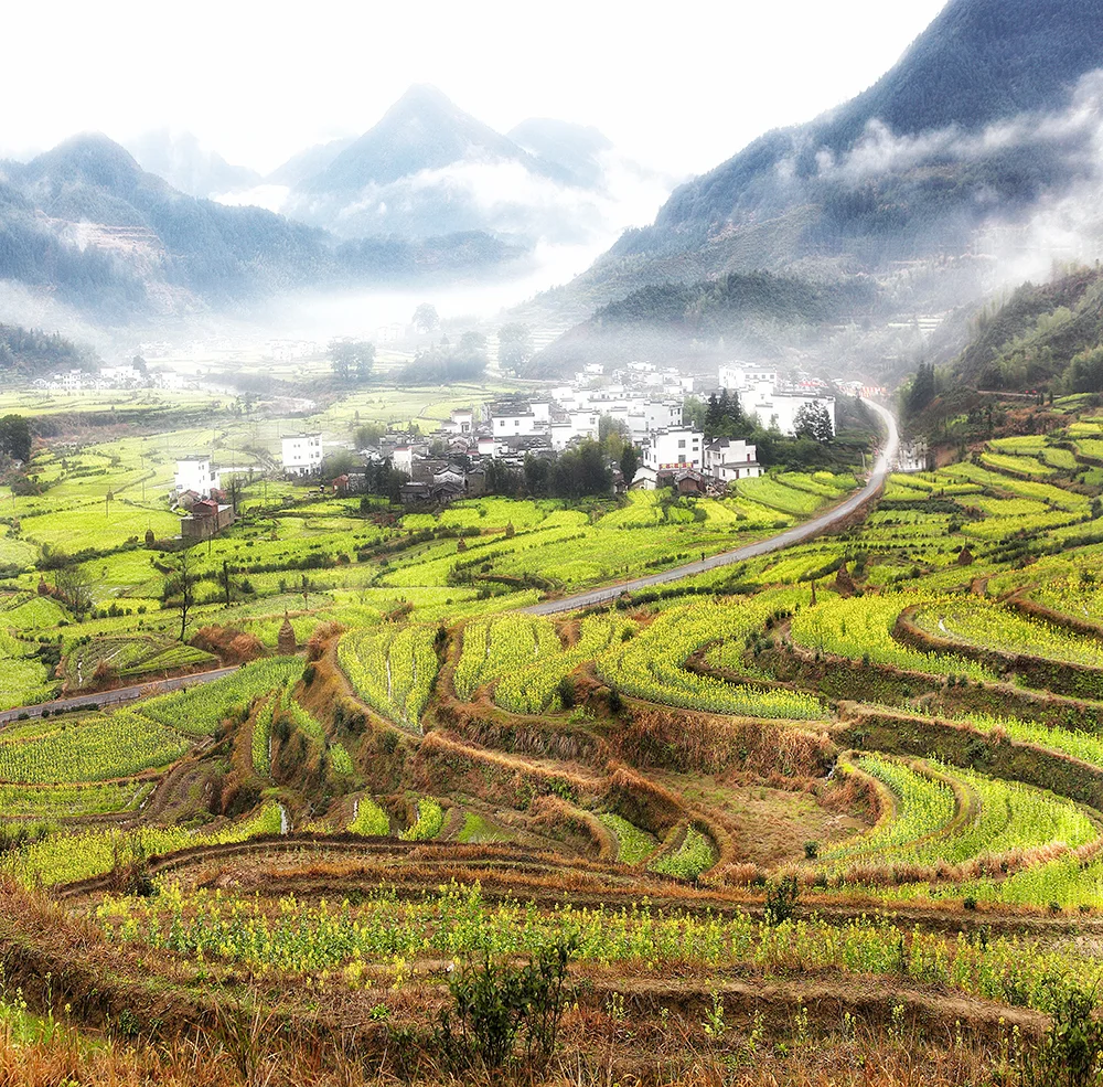 陌上(調寄天淨沙) On the Way