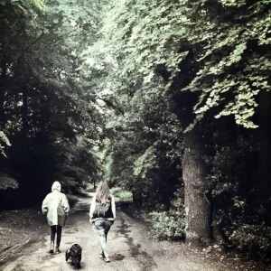 Forest Walk 2017