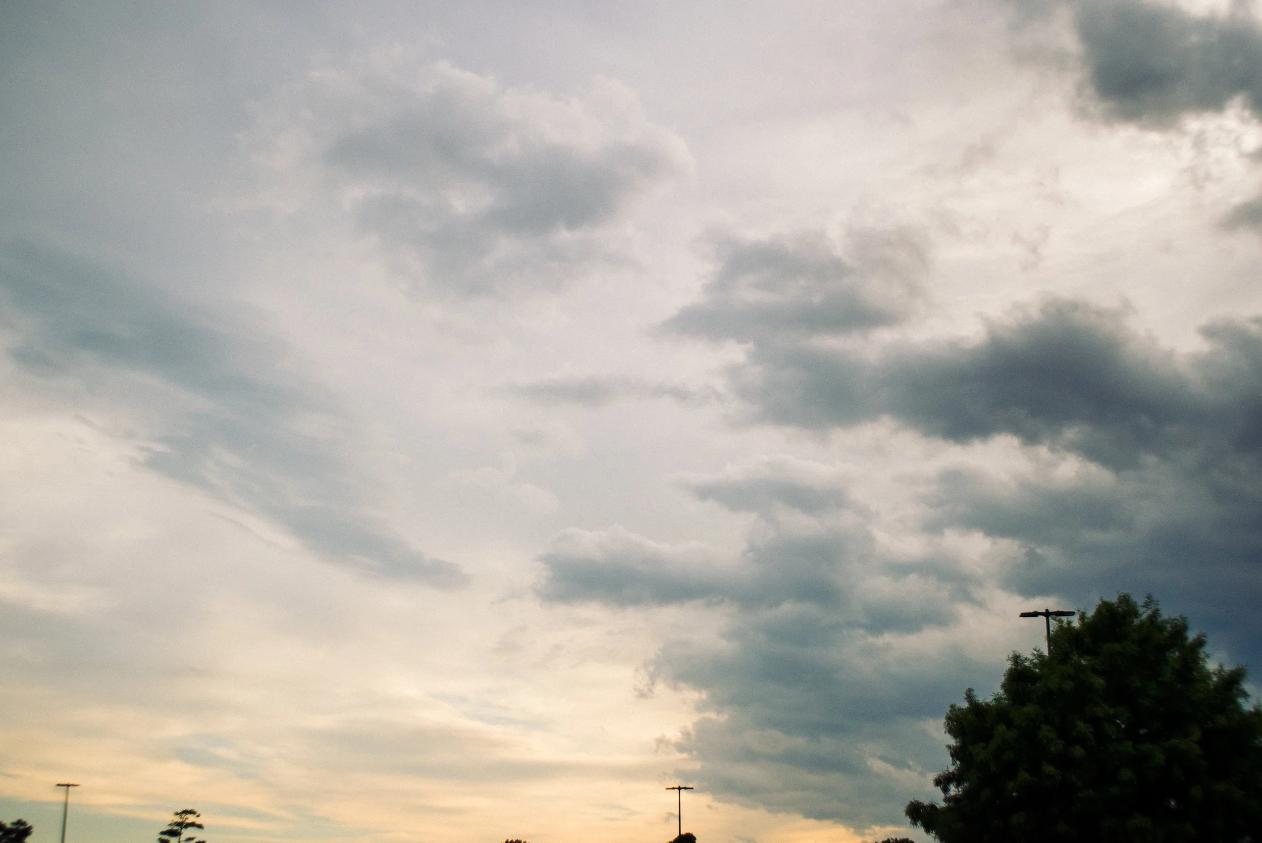 DSC01279.jpg