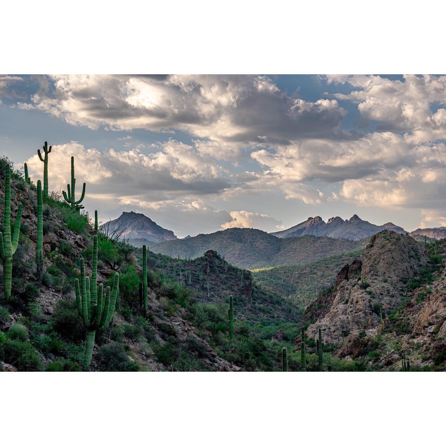 Immutable
.
.
.
.
.
.
.
.
.
.
#arizona #castlehotsprings #leica #leicasl2s #leicasl2490