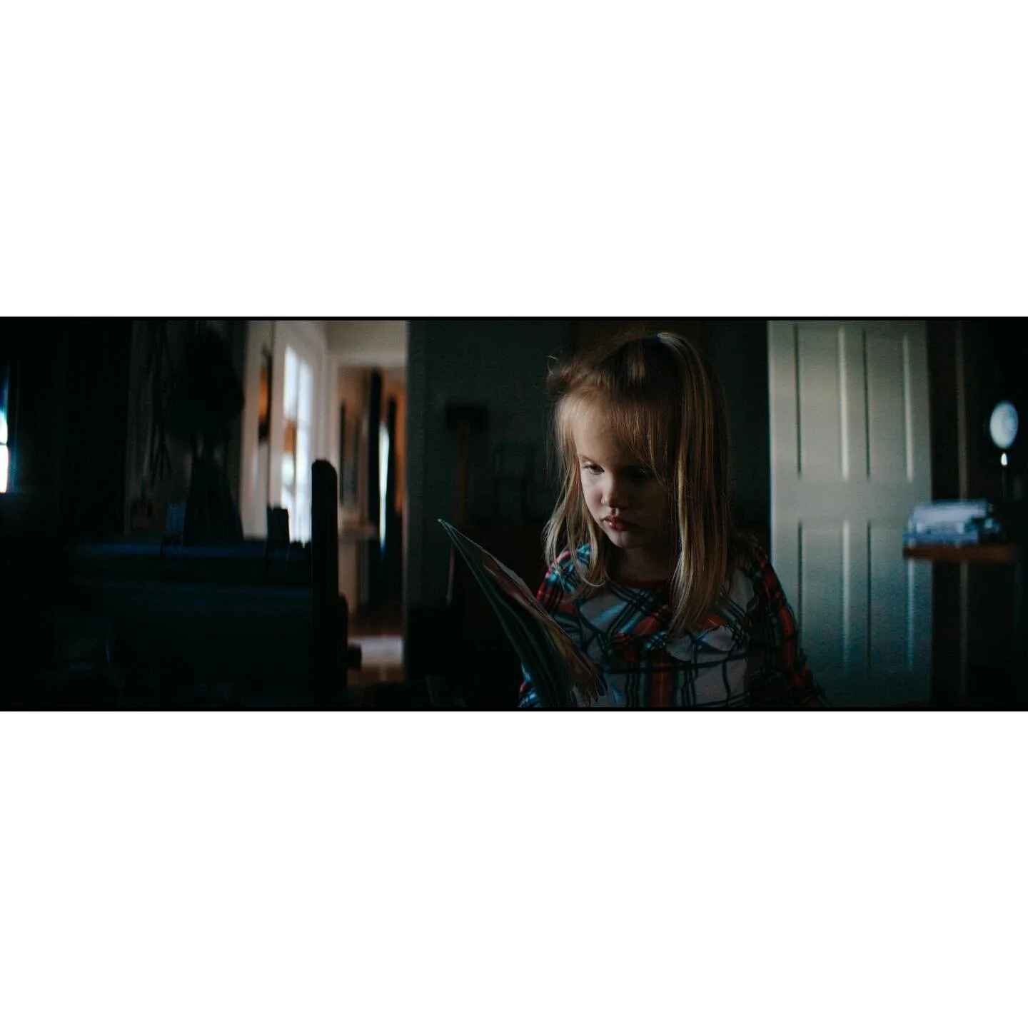 Audrey stories
.
.
.
.
#redraptor #atlaslensco #32mm #7k4:3