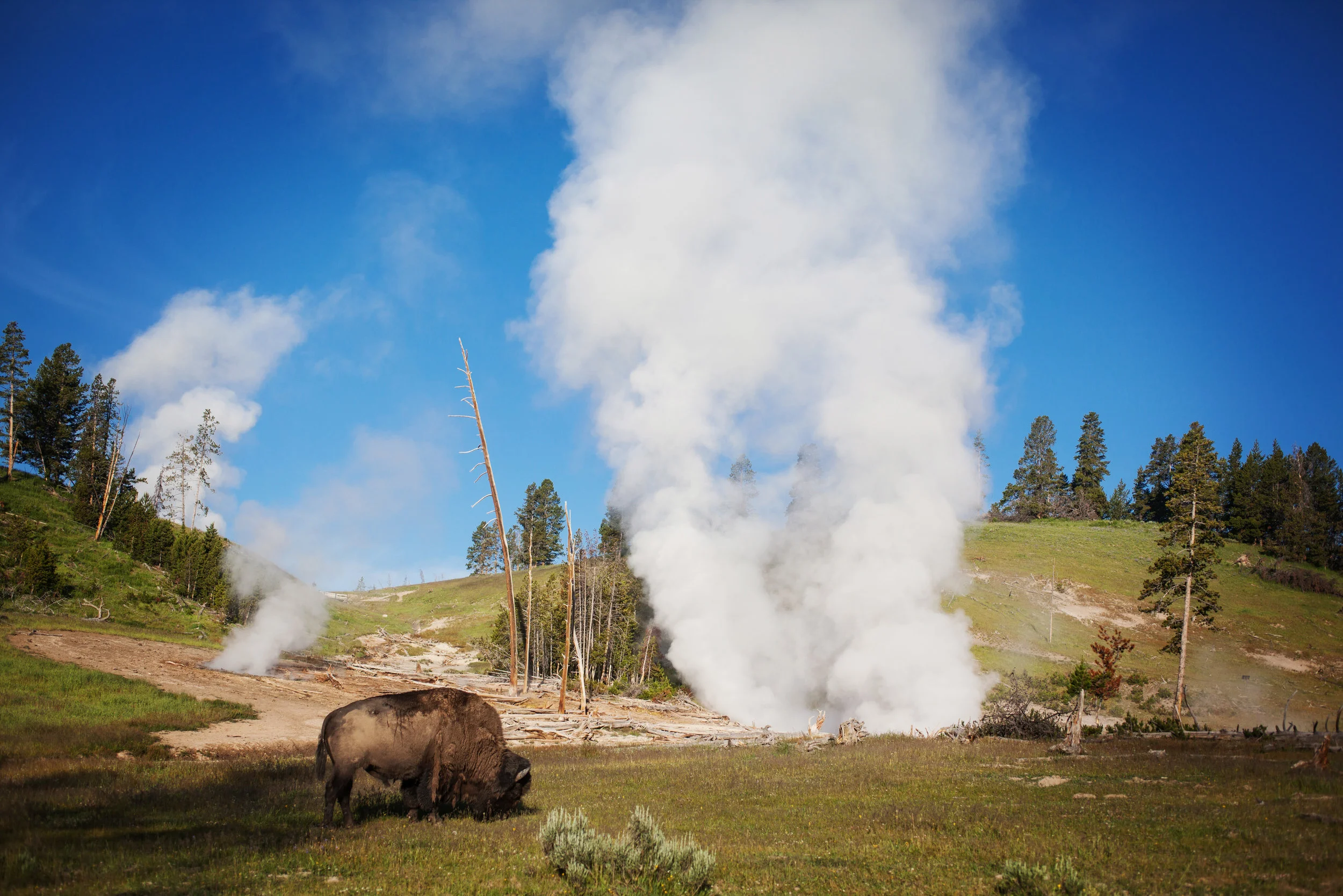 Yellowstone_10.JPG