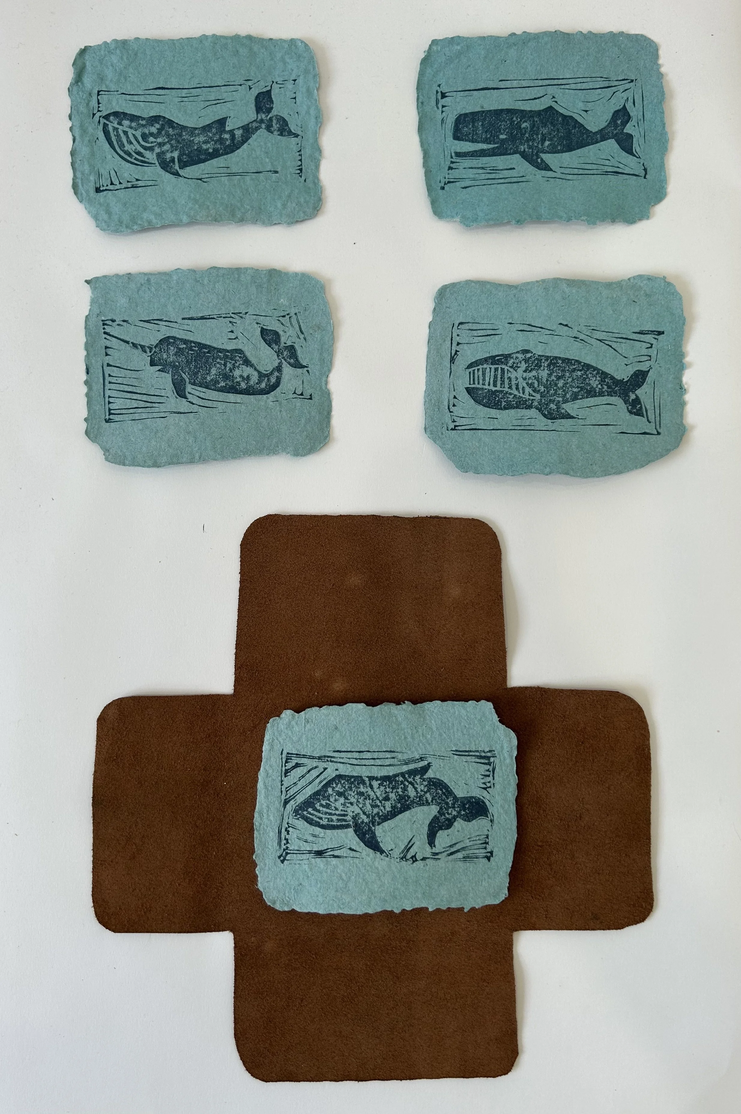 Order Cetacean