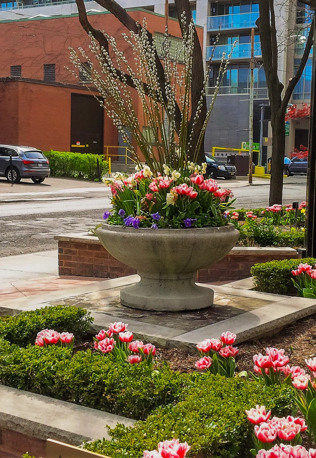 IMG_20160510_104133-2.jpg