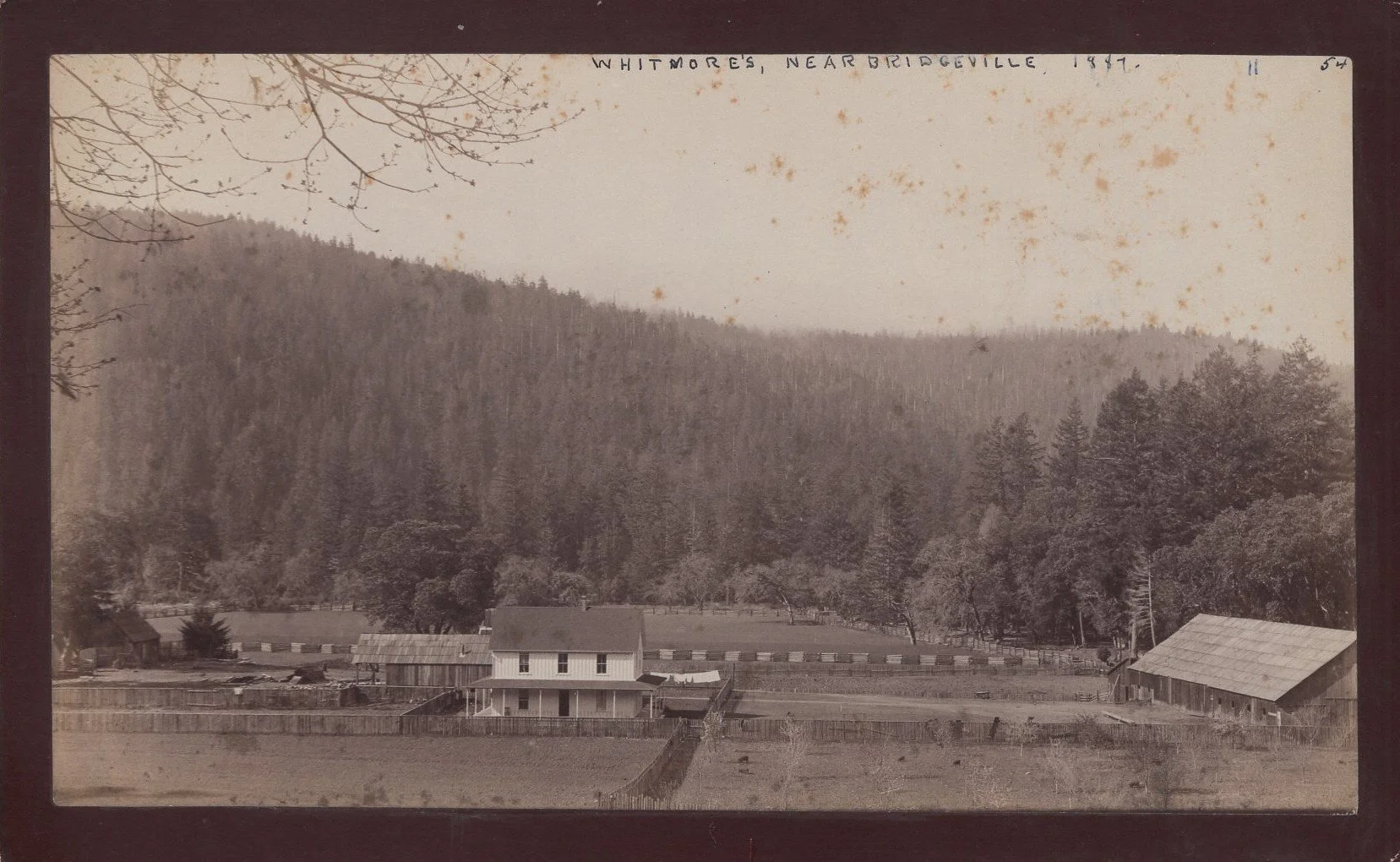 2015.007.18 Whitmore's Place Near Bridgeville, 1887