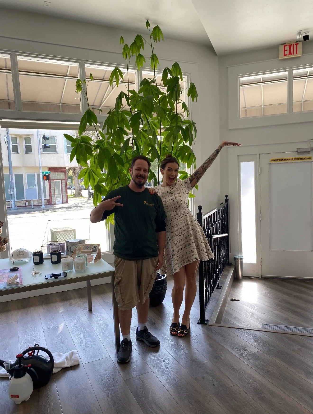 I always say your environment reflects your energy&hellip; and this feels like proof 🌿🤩 to the ceiling ⬆️ 

I was gifted this money tree when I expanded Enlightened Beauty in August 2019&hellip; and over the years it&rsquo;s grown into something I 