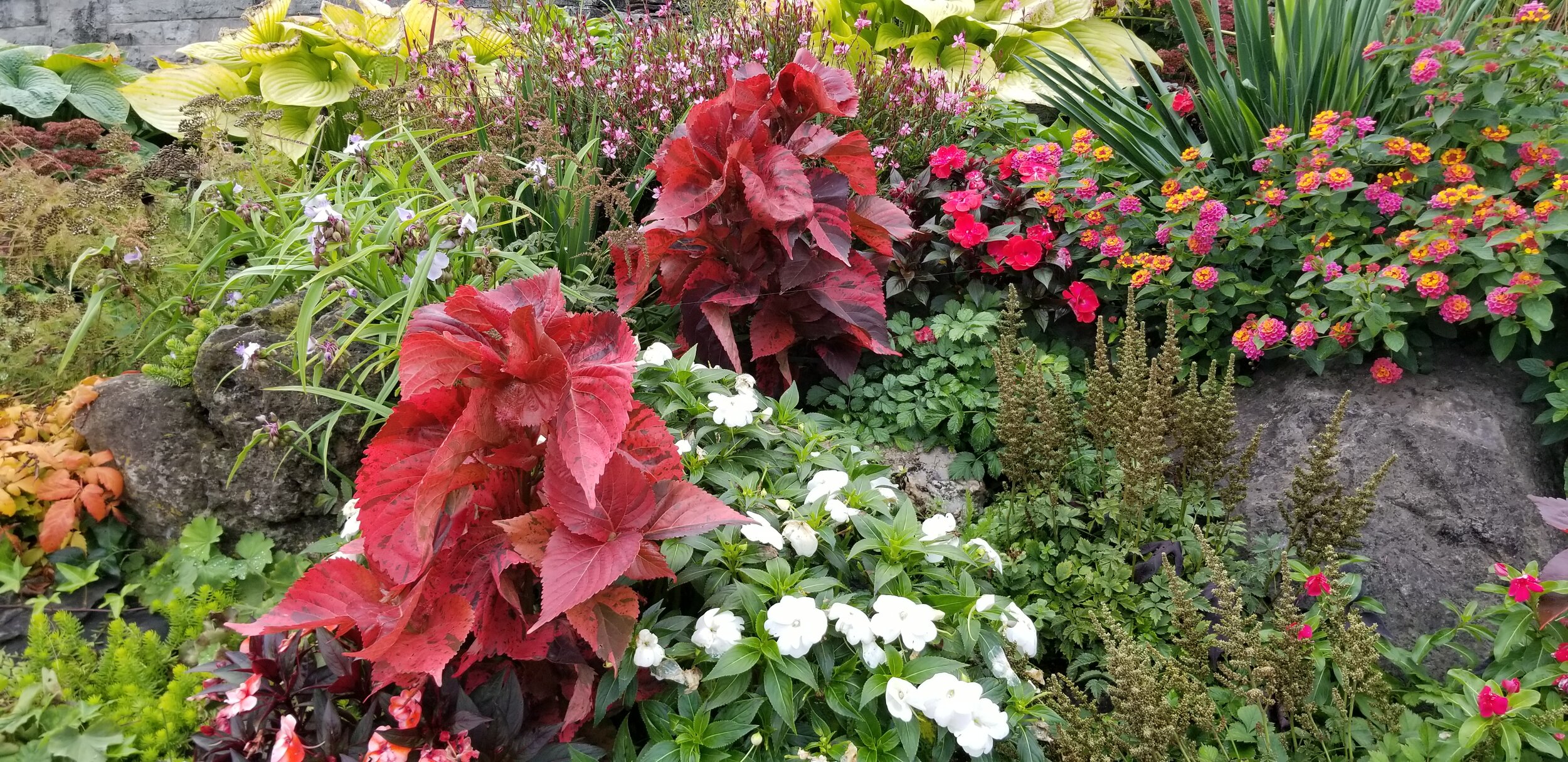 flowers.jpg