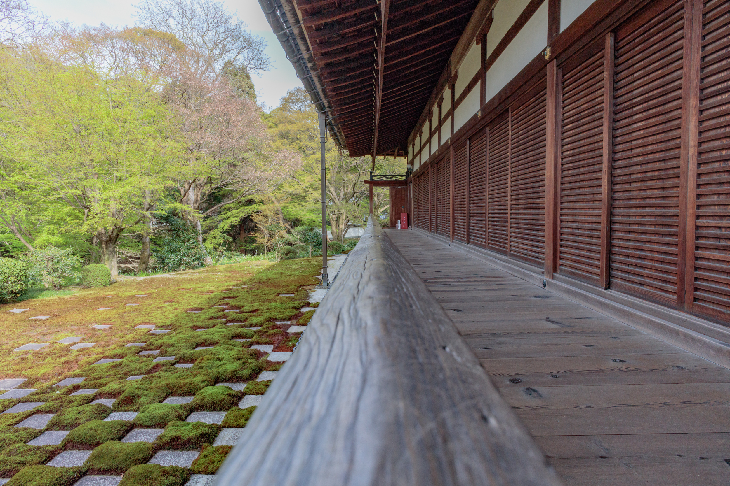  The Balcony and the Moss Garden 