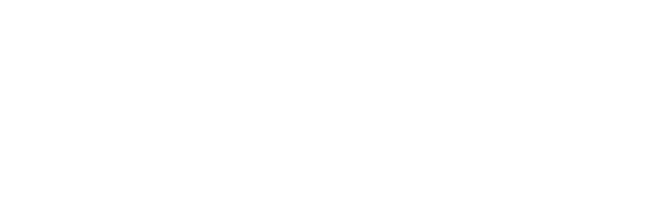 SHOPPE OBJECT_Website_5.png