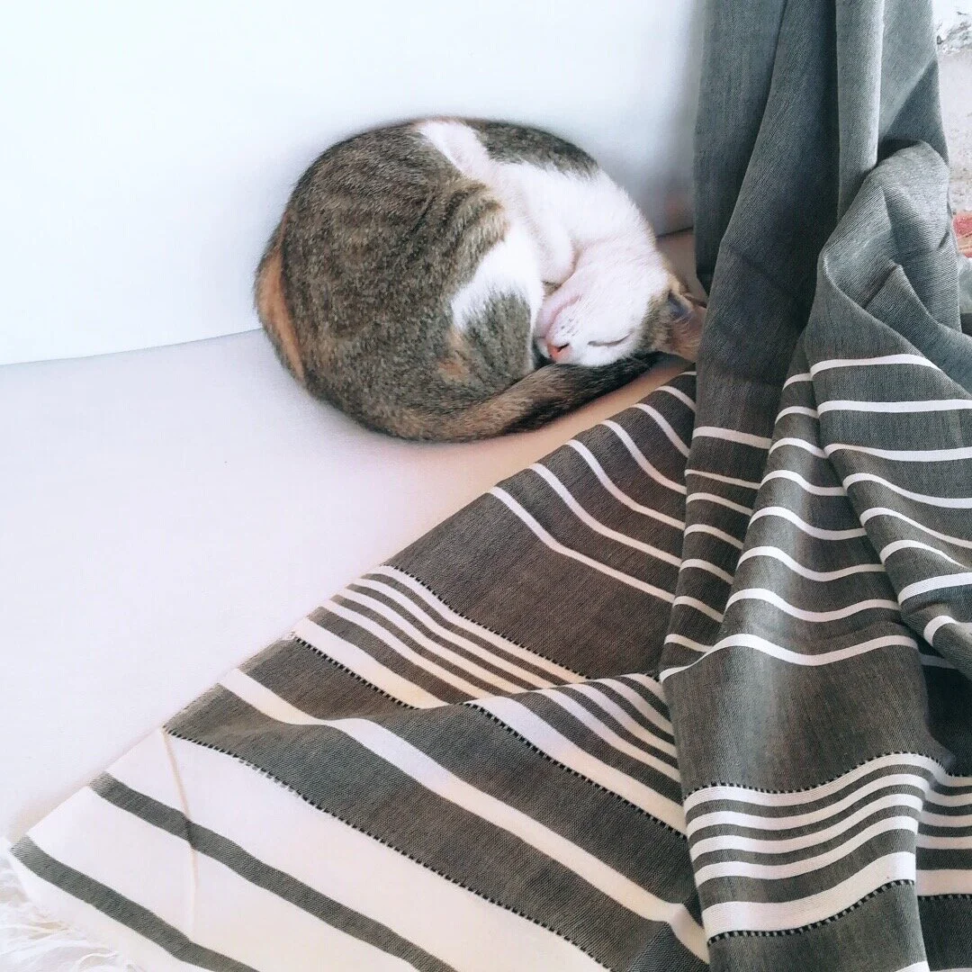 Cocooning