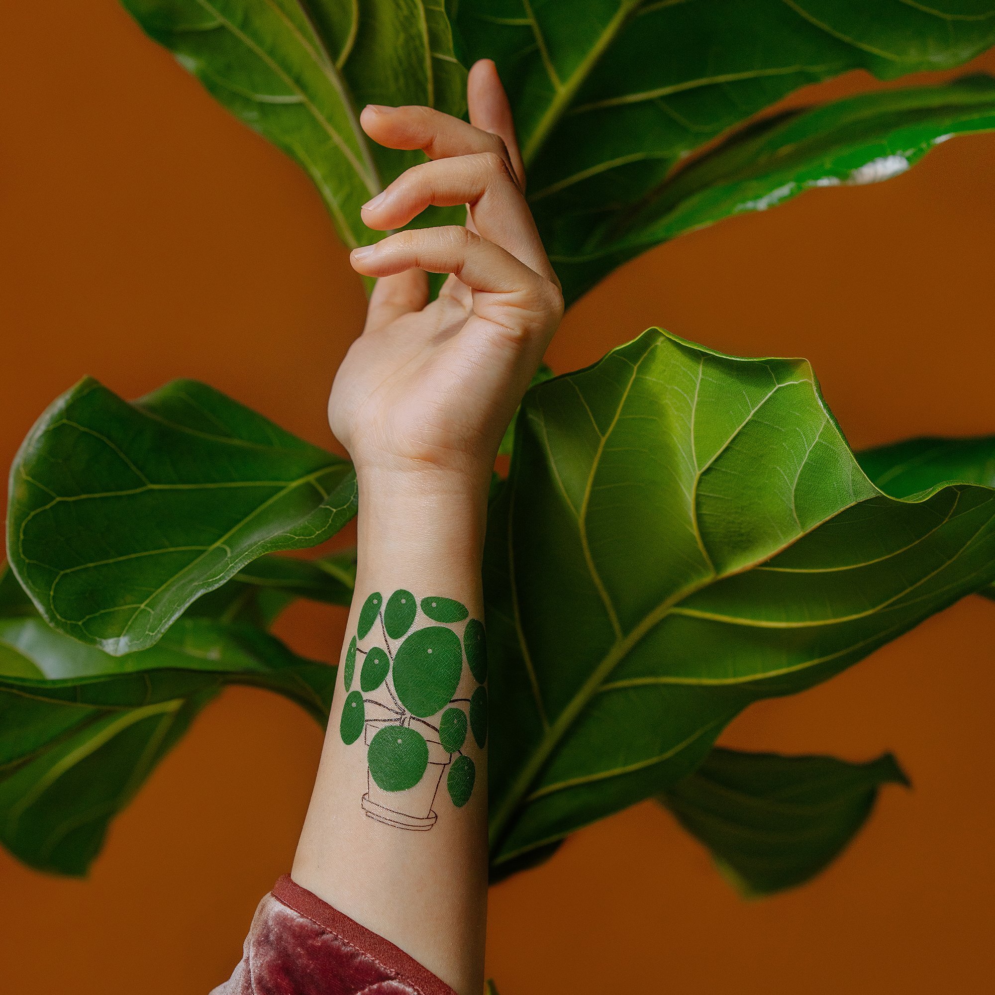TATTLY