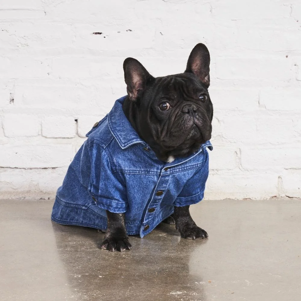 July Brand Spotlights