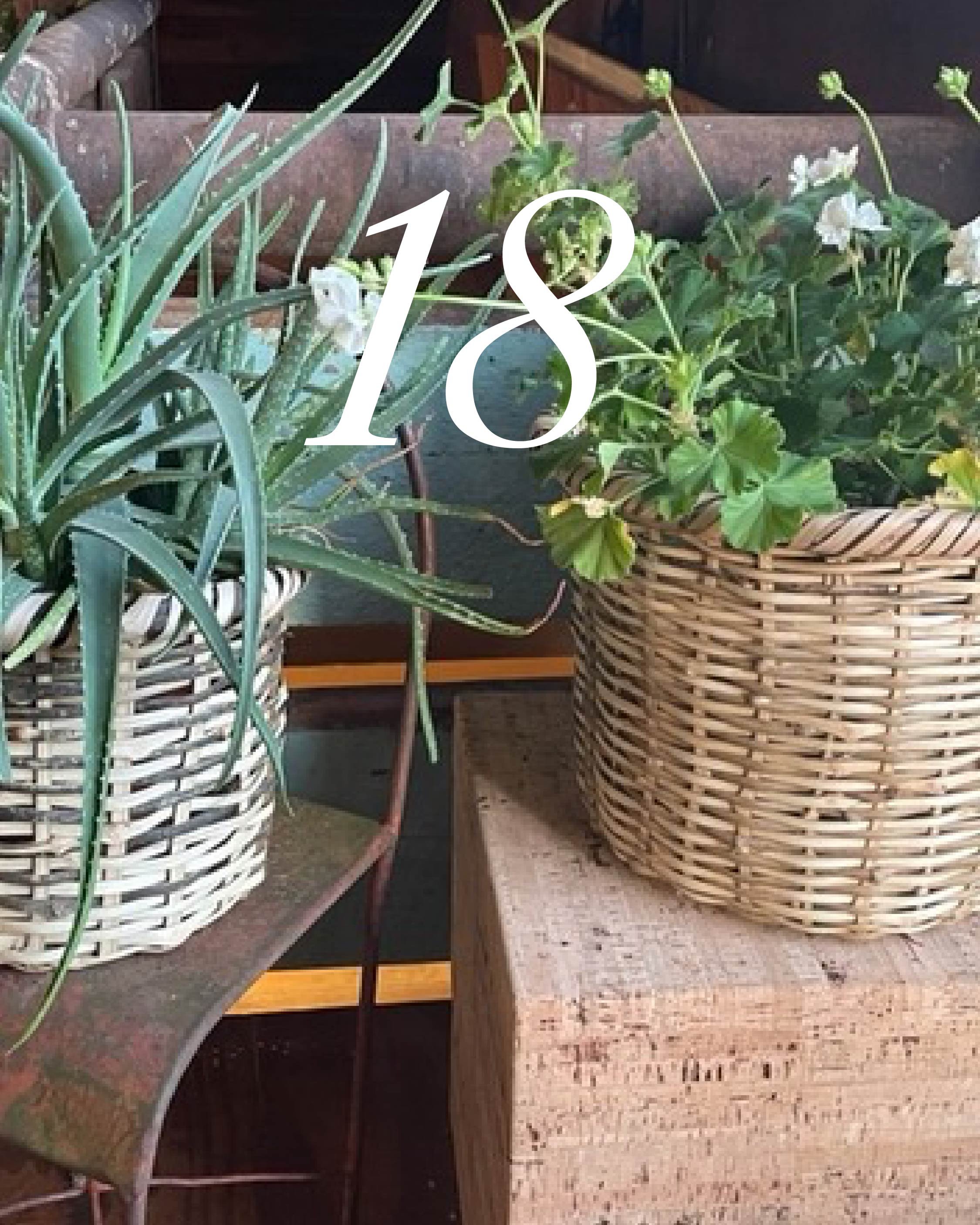 best of baskets-18.jpg