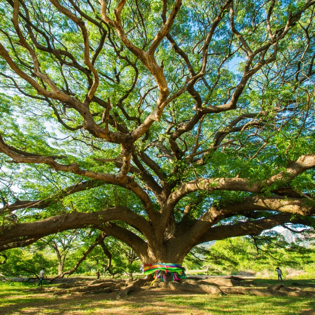 Forgiveness: A gift fo yourself