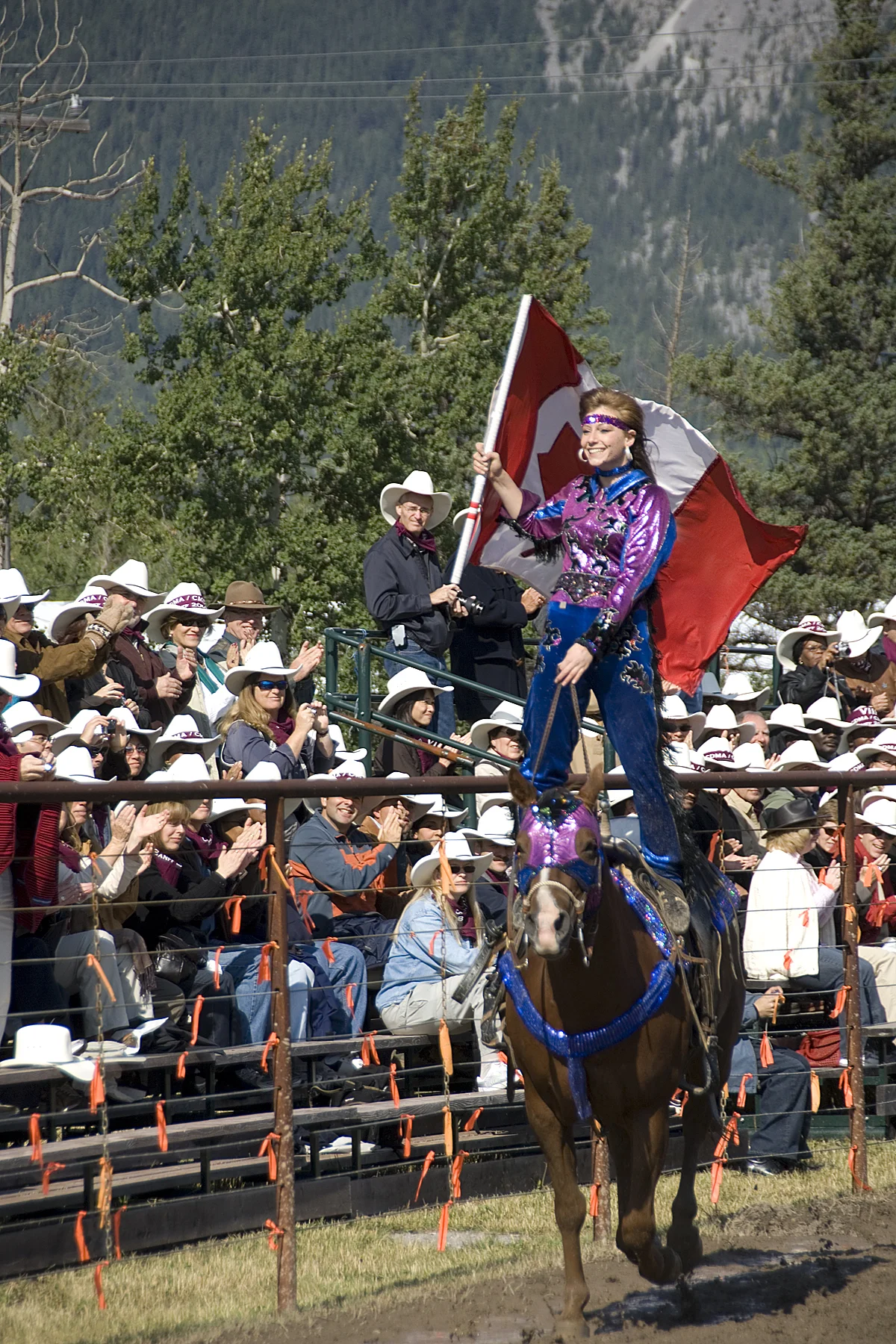 rodeo174.jpg