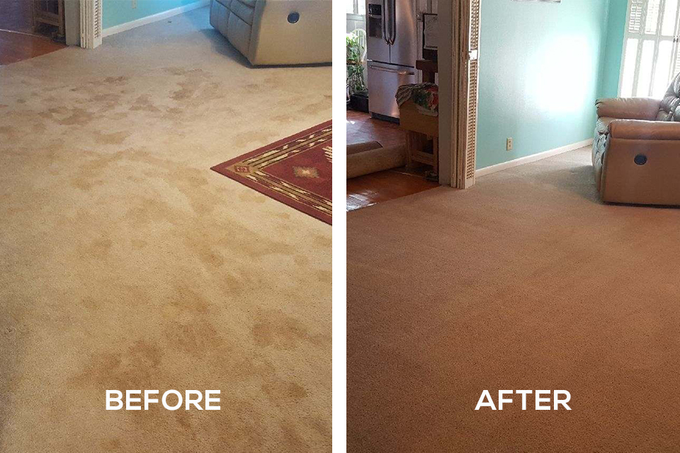 CertifiedCleaning_CarouselImages_LivingRoom1.jpg