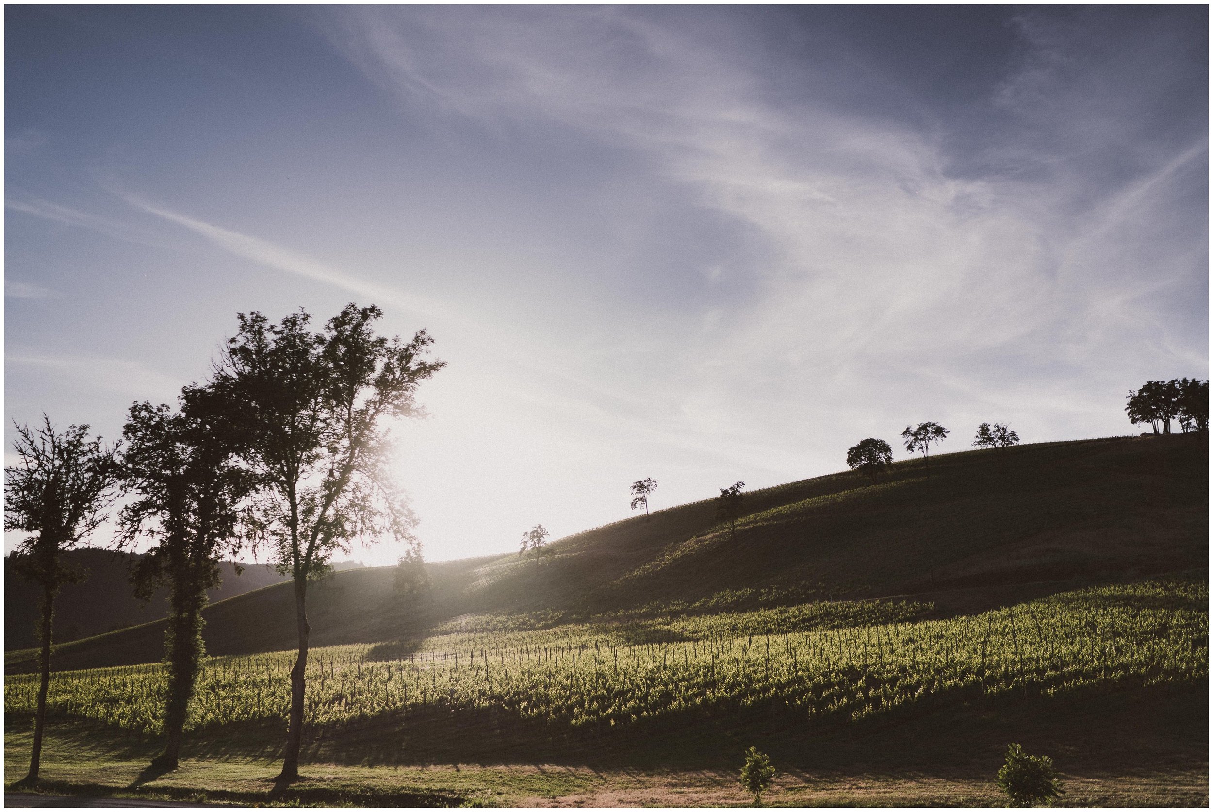 TONY-GAMBINO-PHOTOGRAPHY-BEND-OREGON-WEDDING-SHOOT-000_1535 sunset at maysara.jpg