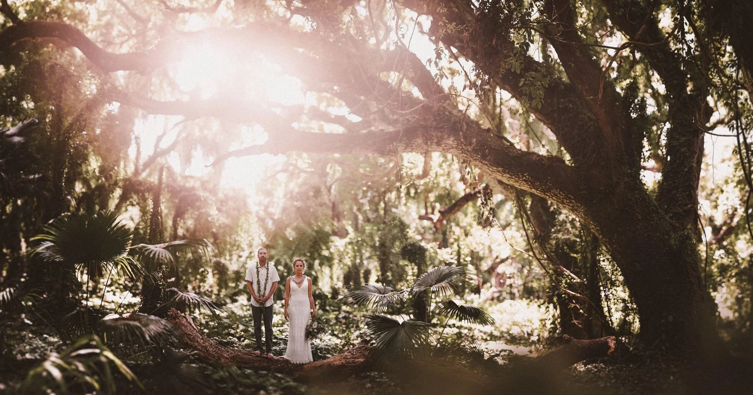 Sunlight streaming through forest trees illuminating a bride and groom in a woodland clearing, photographed by Bend, Oregon wedding photographer Tony Gambino.