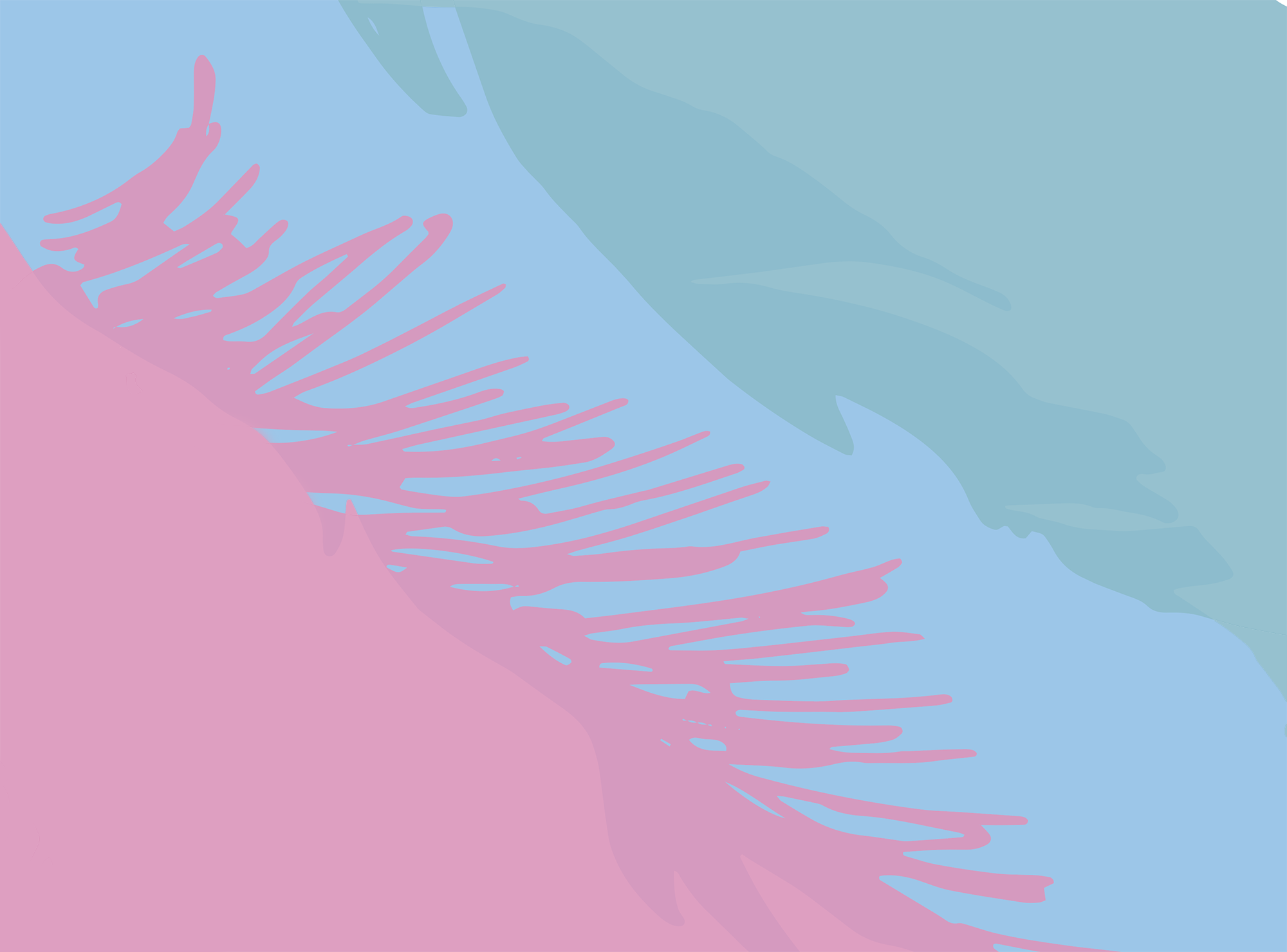 Melinda Fitzsimmons Kinesiology Background 2.png