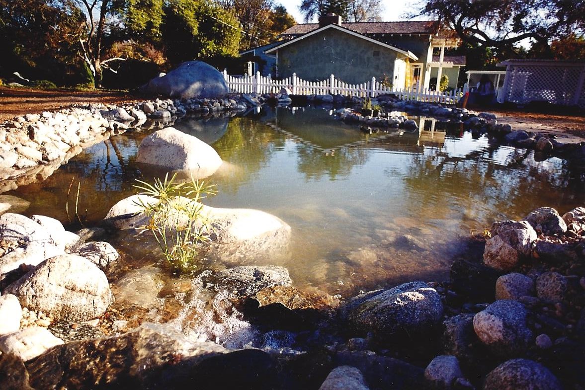 Faux, Bio pond, Gutzmer 1.jpg