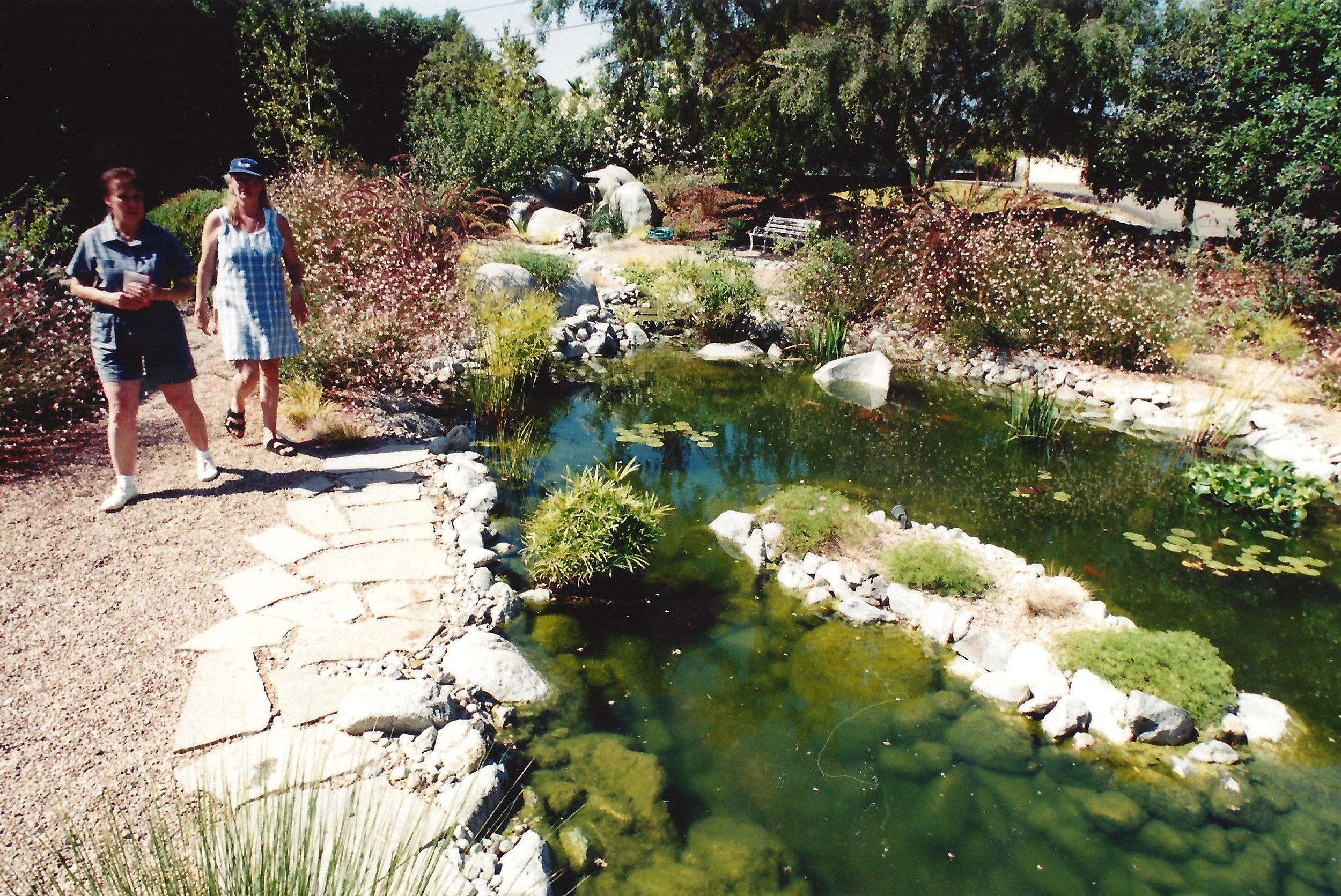 Faux, Bio pond, Gutzmer 3.jpg