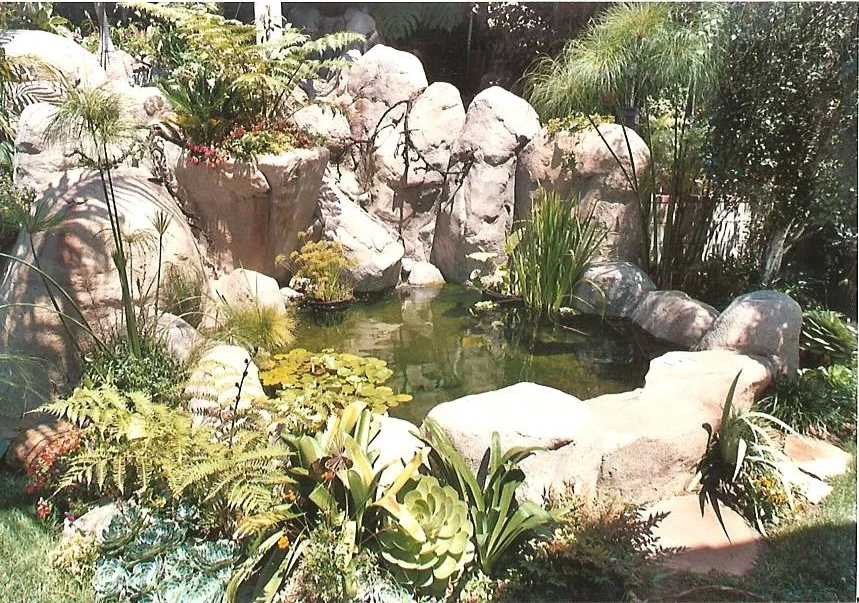7299FF04.jpg