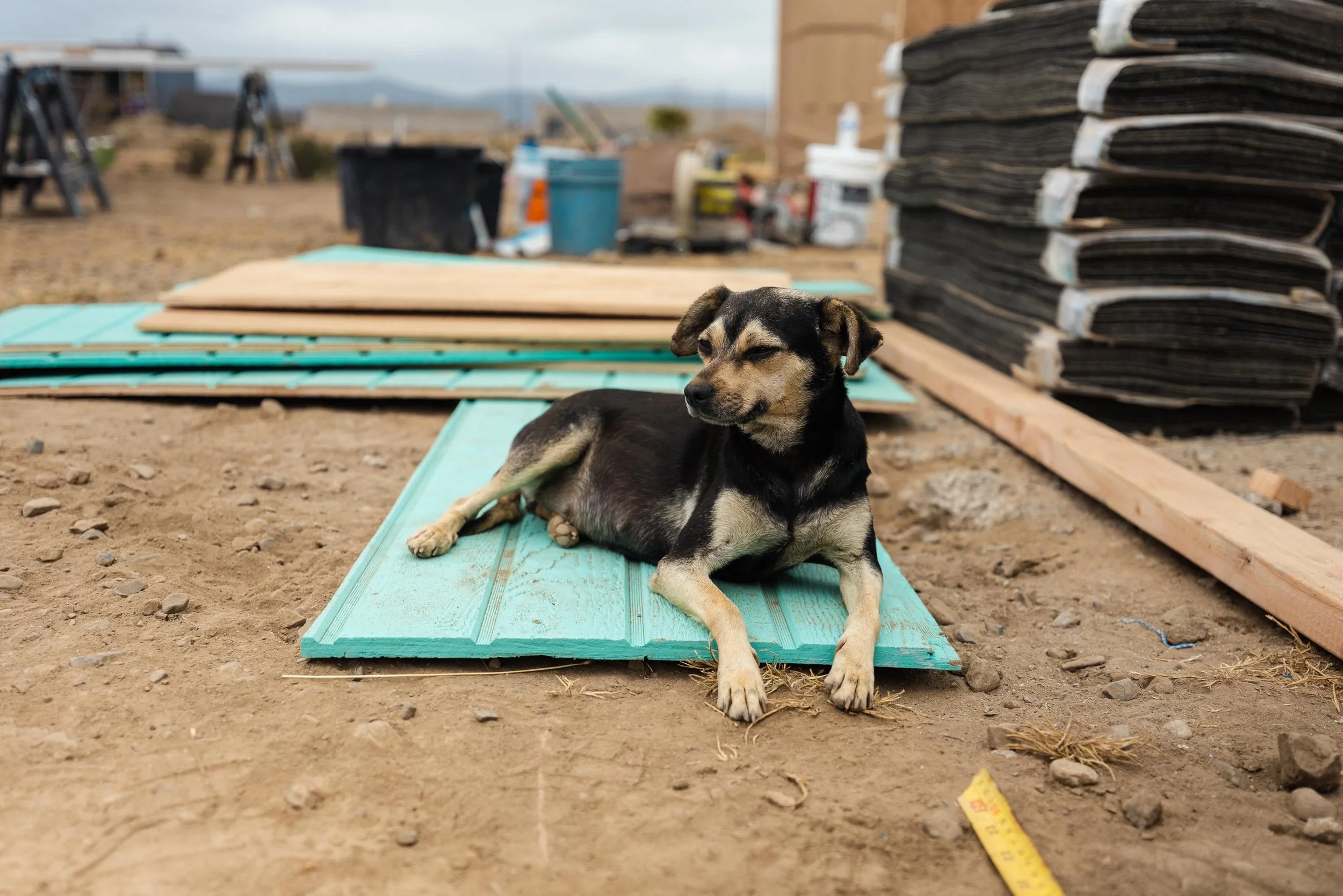 Impact Journey_122.jpeg