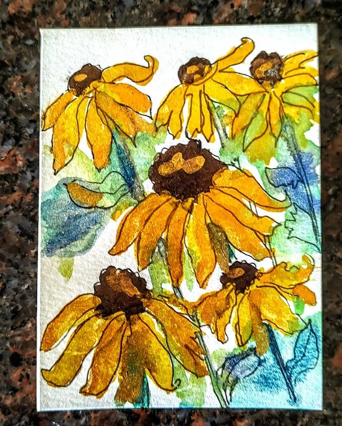 BLACK EYED SUSANS.jpg