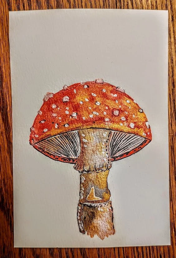 RED CAP MUSHROOM.jpg