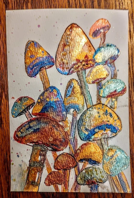 MUSHROOMS GALORE.jpg