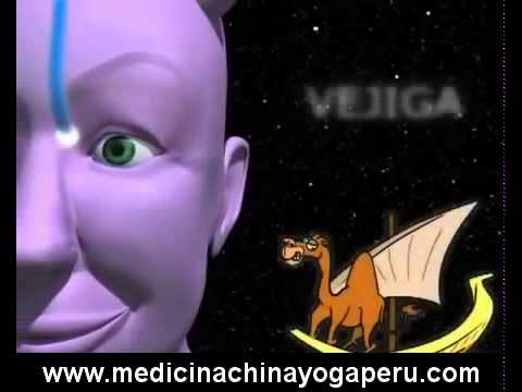 acupuncture-meridians-8211-how-do-they-work.jpg