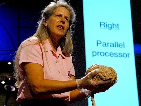 my-stroke-of-insight-jill-bolte-taylor.jpg
