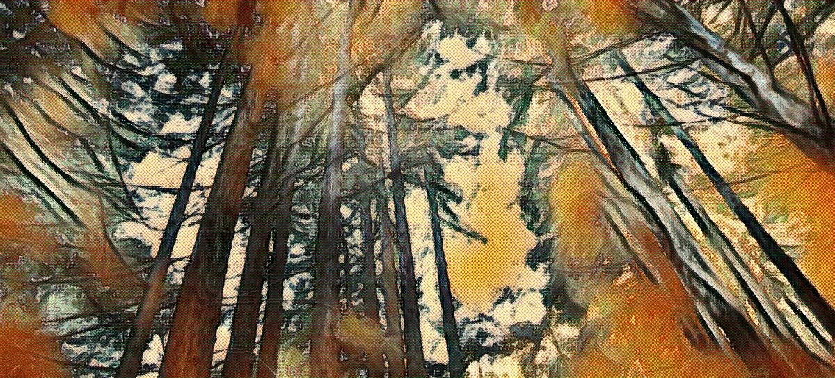 imageedit_4_5415631167.jpg