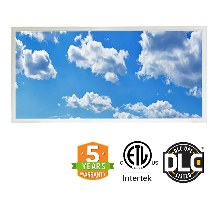 Flat Panel 2x4 LED Cloud Panel Light
