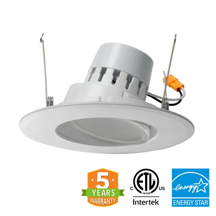 adjustable retrofit downlight.jpg