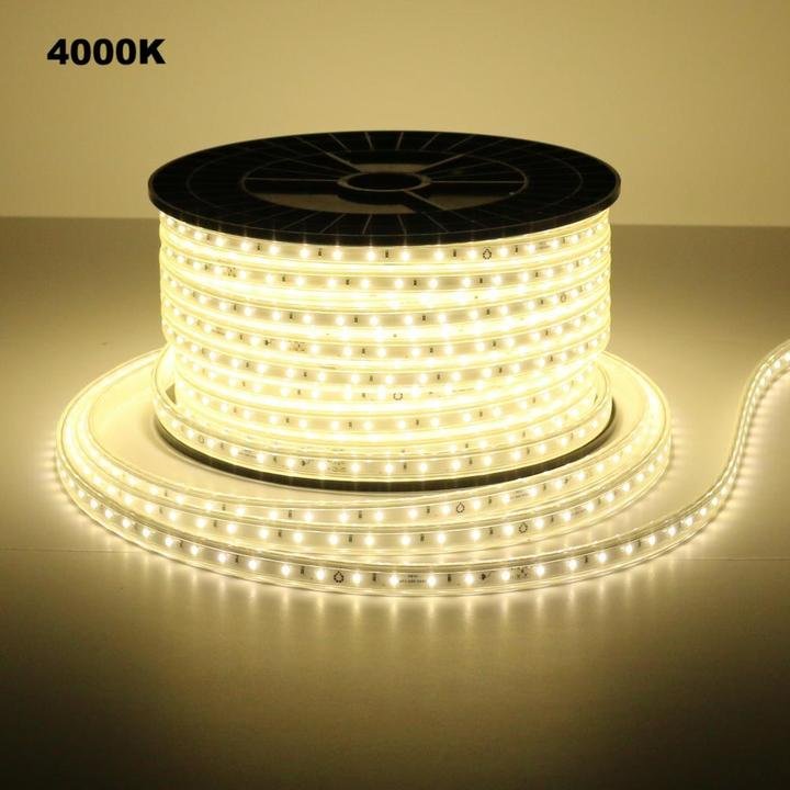 5_0ed2ce8b-f63e-4363-a006-227b5cbb9c9e_720x.jpg