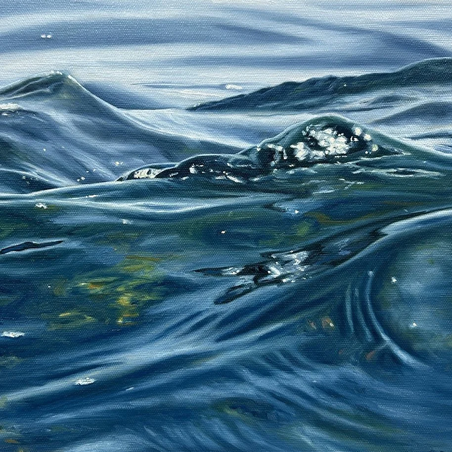 Friday Harbor Atelier - Studio #3