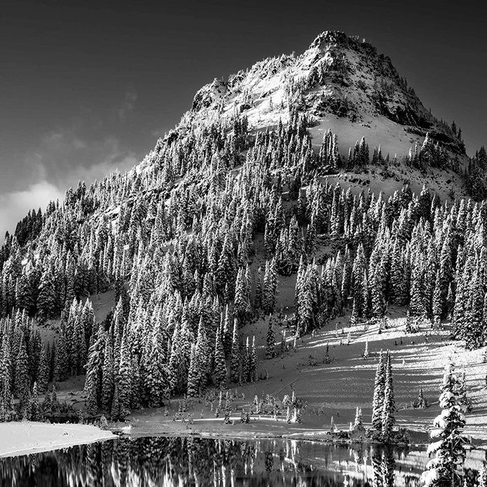 David Corry - Studio #4