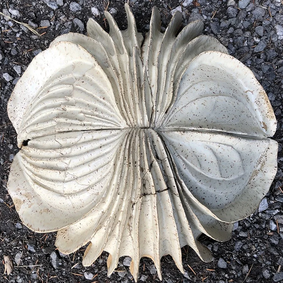 Kirk Nozaki - Studio #16