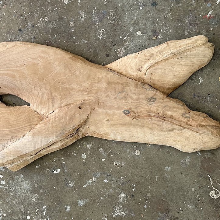 Terry Ogle - Studio #20