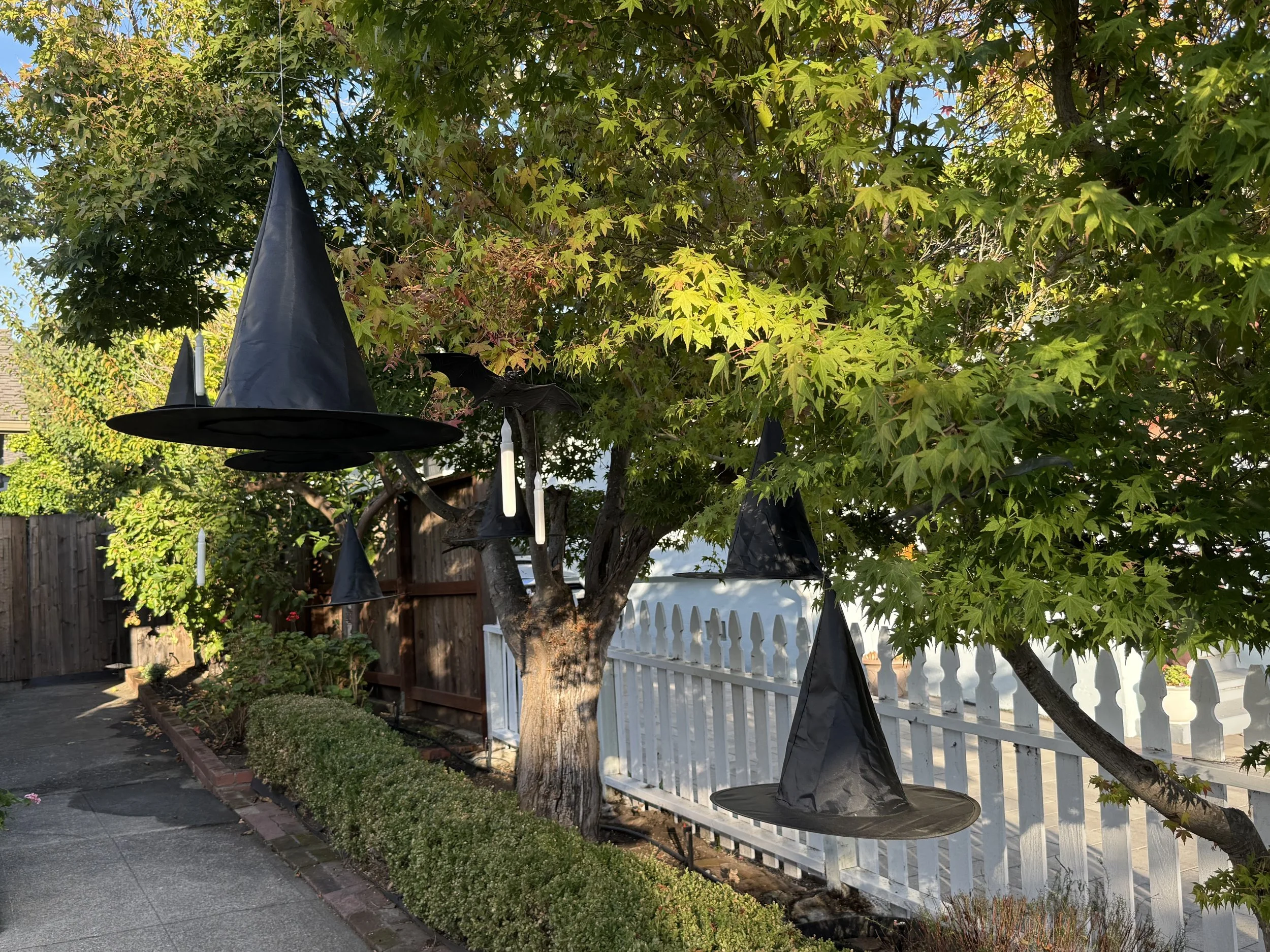 Yes, They're Witches!