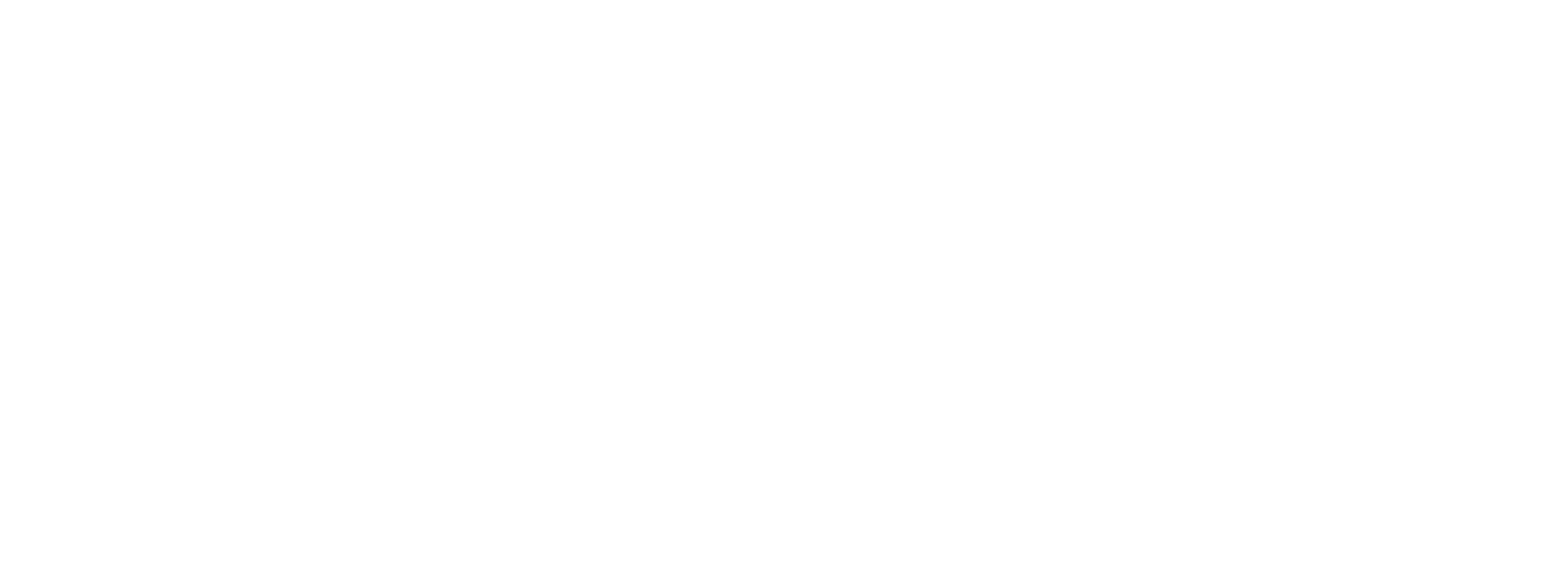 Lloyd McCarter &amp; the Honky Tonk Revival