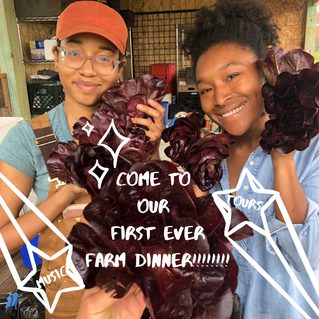 Come to our FIRST EVER FARM DINNER!!!!!!!!.png